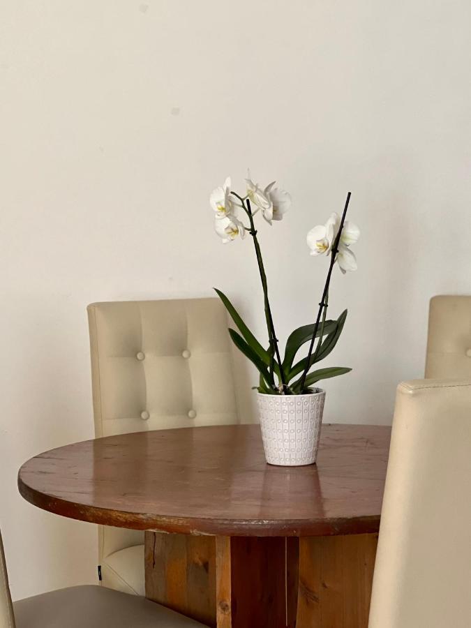 Novi Ligure Private Apartment Екстер'єр фото